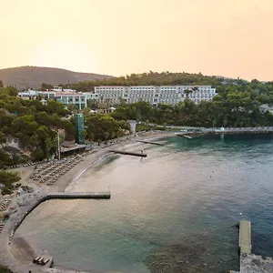 5* Complex Pine Bay